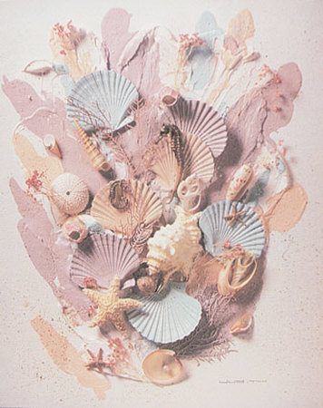 Seashells by Judith Pricing Limited Edition Print image