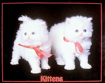 Kittens by Diane Leis Pricing Limited Edition Print image
