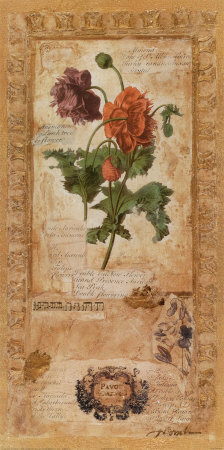 Rose Collage Fantasy I by Joyce Combs Pricing Limited Edition Print image