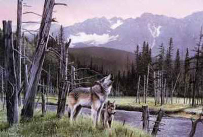 Wolf And Pup by Kevin Daniel Pricing Limited Edition Print image