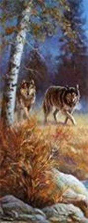 Moonlit Wolves by M. Caroselli Pricing Limited Edition Print image