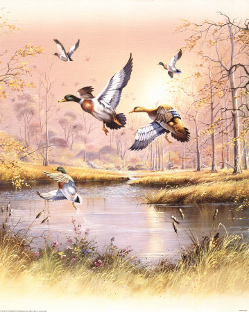 Marsh Ducks by Andres Orpinas Pricing Limited Edition Print image