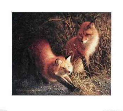 Foxfire by Jay Johnson Pricing Limited Edition Print image