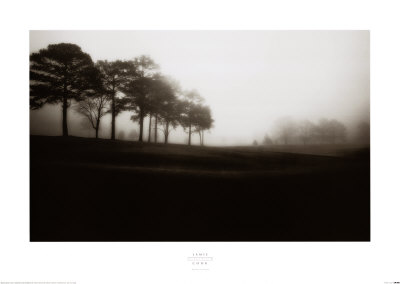Fog Tree Study Iii by Jamie Cook Pricing Limited Edition Print image