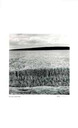 Untitled (Wheat Field) by Morry Katz Pricing Limited Edition Print image