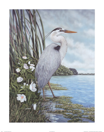 Great Blue Heron by James Harris Pricing Limited Edition Print image