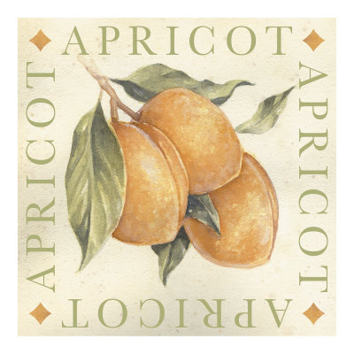 Apricot by Michael Alexander Pricing Limited Edition Print image