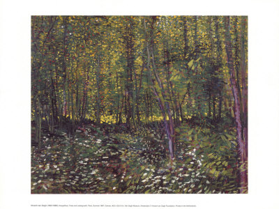 Trees And Undergrowth Paris Summer, C.1887 by Vincent Van Gogh Pricing Limited Edition Print image