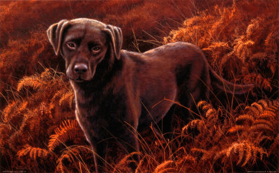 Good Companion Iii, Chocolate Lab by Jeremy Paul Pricing Limited Edition Print image