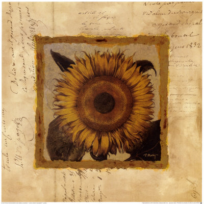 Sunflower by Pamela Murray Pricing Limited Edition Print image