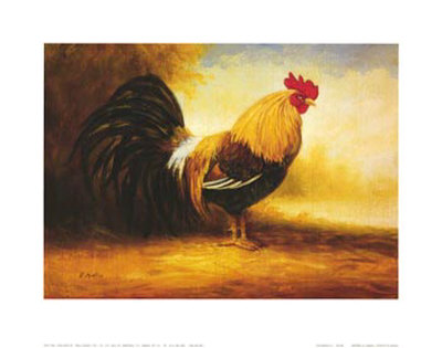 Coq Bankiva Ii by St. Martin Pricing Limited Edition Print image