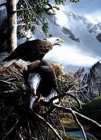 Eagles In Nest by Kevin Daniel Pricing Limited Edition Print image