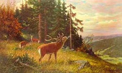 Hirsch Am Morgen by E. Kruger Pricing Limited Edition Print image