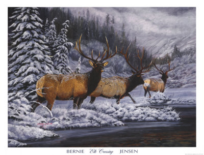 Elk Crossing by Bernie Jensen Pricing Limited Edition Print image