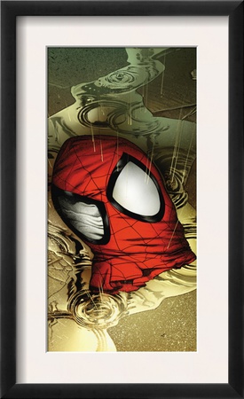 Ultimate Spider-Man #133 Cover: Spider-Man by Stuart Immonen Pricing Limited Edition Print image