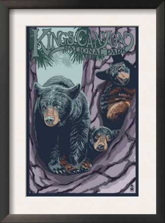 Kings Canyon Nat'l Park - Bears In Tree - Lp Poster, C.2009 by Lantern Press Pricing Limited Edition Print image