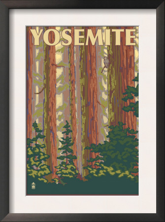 Yosemite, California - Forest Scene, C.2008 by Lantern Press Pricing Limited Edition Print image