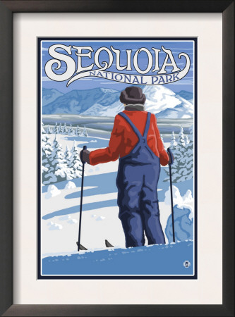 Sequoia Nat'l Park - Skier Admiring - Lp Poster, C.2009 by Lantern Press Pricing Limited Edition Print image