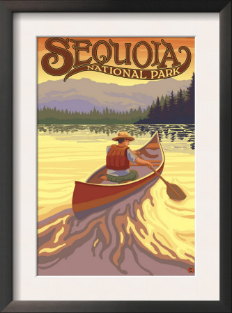 Sequoia Nat'l Park - Canoe Scene - Lp Poster, C.2009 by Lantern Press Pricing Limited Edition Print image