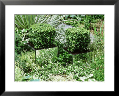 Buxus Topiary Cubes In Square Containers Covered With Mirrors by Mark Bolton Pricing Limited Edition Print image