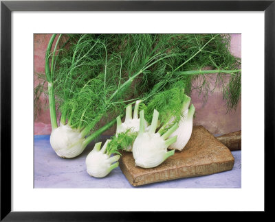 Still Life, Herb, Fennel On Wooden Board, Blue/Pink Badckground by Linda Burgess Pricing Limited Edition Print image