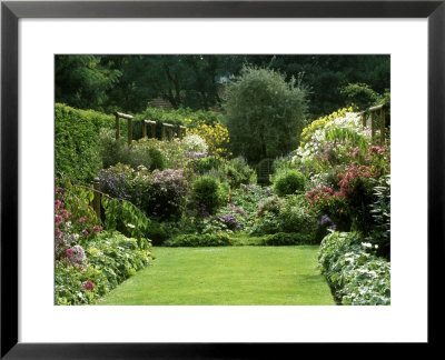 Autumn Garden, Aster, View To Seat Under Pyrus, Aster In Border, Wooden Support, France by Michele Lamontagne Pricing Limited Edition Print image