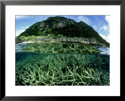 Staghorn Coral And Island, Fiji by Tobias Bernhard Pricing Limited Edition Print image
