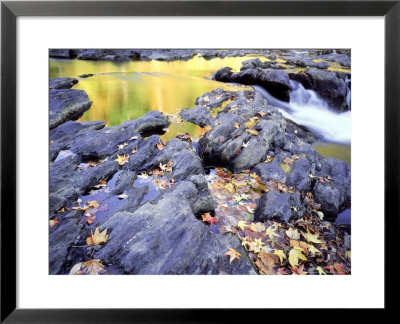 Fall Reflections In The Tellico River, Tn by Willard Clay Pricing Limited Edition Print image