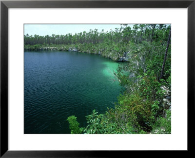 Inland Blue Hole, Bahamas by William Gray Pricing Limited Edition Print image