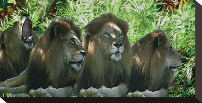 Lions by Melinda Bradshaw Pricing Limited Edition Print image