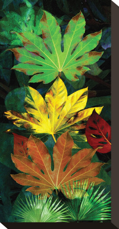 Tropical Fatsia by Melinda Bradshaw Pricing Limited Edition Print image