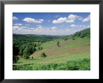 The Devils Punch Bowl, Hindhead, Uk by Ian West Pricing Limited Edition Print image