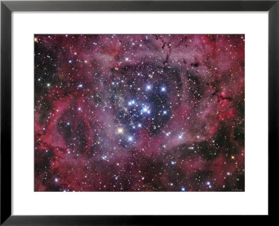 Ngc 2244 by Stocktrek Images Pricing Limited Edition Print image