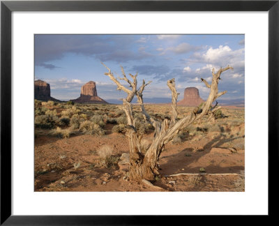 Monument Valley, Arizona, Usa by Hans Peter Merten Pricing Limited Edition Print image
