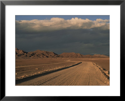 Pampa, Llalqui, Atacama, Chile, South America by R Mcleod Pricing Limited Edition Print image