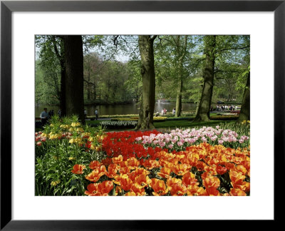 Tulips, Keukenhof Gardens, Lisse, Holland by I Vanderharst Pricing Limited Edition Print image