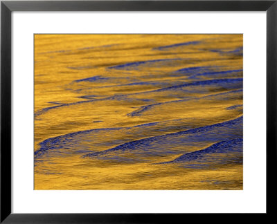 Sunshine Colors Waves Off Torrey Pines Cliffs, La Jolla, California, Usa by Arthur Morris Pricing Limited Edition Print image