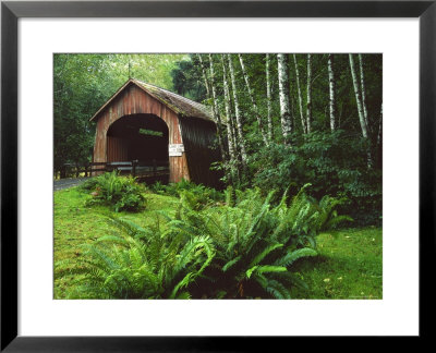 Yachats River Covered Bridge In Siuslaw National Forest, North Fork, Oregon, Usa by Steve Terrill Pricing Limited Edition Print image
