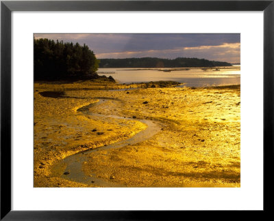 Outgoing Tide At Sunset On Campobello Island, New Brunswick, Canada by Julie Eggers Pricing Limited Edition Print image