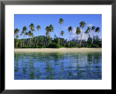 East Coast, Motu Nao Nao, Raiatea Island, Society Islands Archipelago, French Polynesia by J P De Manne Pricing Limited Edition Print image