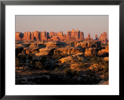 Dawn In The Needles District, Cedar Mesa Sandstone, Canyonlands National Park, Utah, Usa by Jerry & Marcy Monkman Pricing Limited Edition Print image
