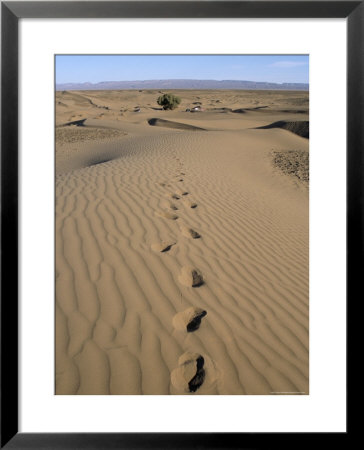 Dunes And Camp Under Tree In The Distance At Erg Al Hatin, Desert Trek, Draa Valley, Morocco by Jenny Pate Pricing Limited Edition Print image