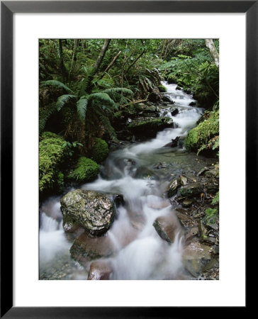 Stream Through Rainforest, Lewis Pass, South Island, New Zealand, Pacific by James Hager Pricing Limited Edition Print image