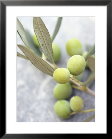Olive Sprig With Green Olives by Brigitte Sporrer Pricing Limited Edition Print image