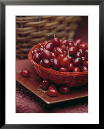 Cornel Cherries by Vladimir Shulevsky Pricing Limited Edition Print image