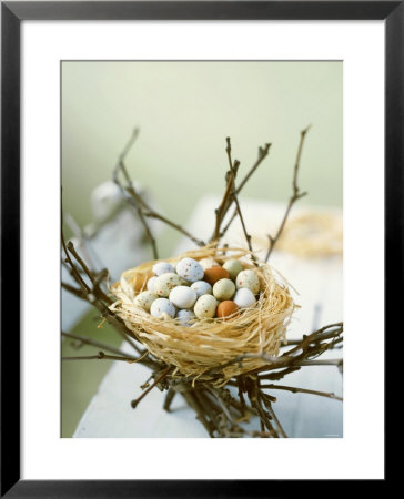 Sweet Easter Eggs In A Nest by Philip Webb Pricing Limited Edition Print image
