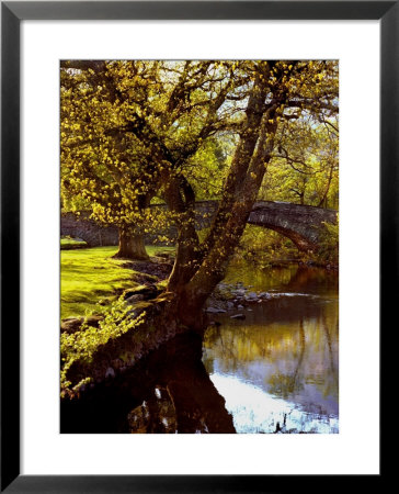Cotswold Bridge by Jody Miller Pricing Limited Edition Print image