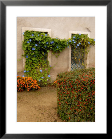 Flowers Along Stucco Building, Burgundy, France by Lisa S. Engelbrecht Pricing Limited Edition Print image