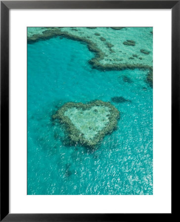 Australia, Queensland, Whitsunday Coast, Great Barrier Reef, Heart Reef, Aerial View by Walter Bibikow Pricing Limited Edition Print image