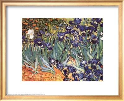 Iris Garden by Vincent Van Gogh Pricing Limited Edition Print image